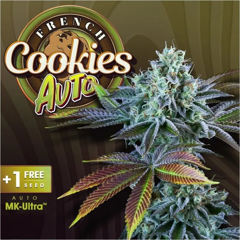 AUTO FRENCH COOKIES T.H. SEEDS