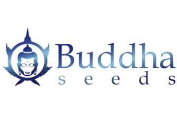 BUDDHA SEEDS