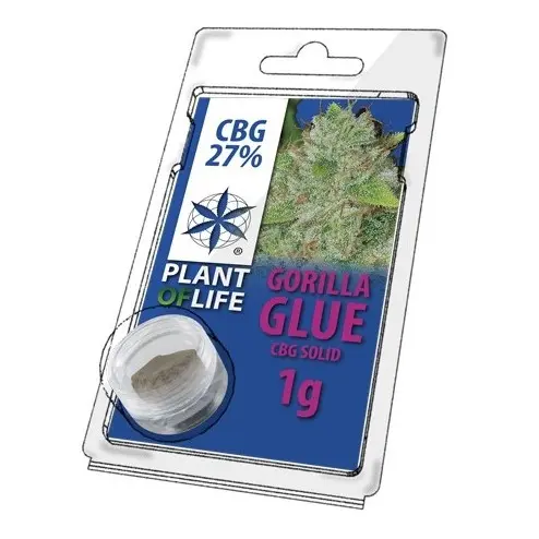 CANNABIS SOLIDA 27% CBG GORILLA GLUE 1 gr