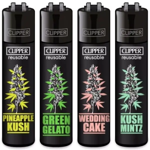 CLIPPER PLANTZ #06