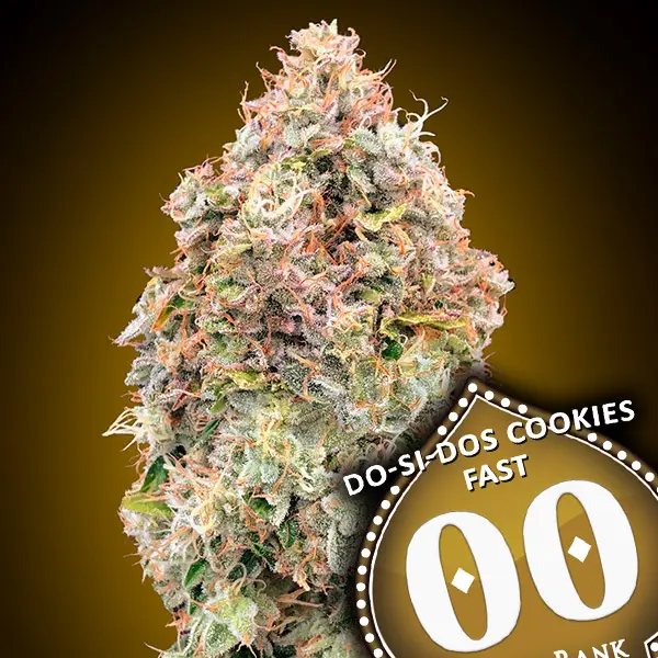 DO-SI-DOS COOKIES FAST 00 SEEDS