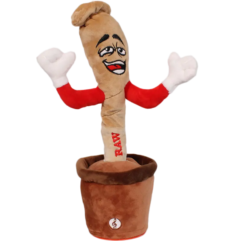 DOOBIE DANCER RAW