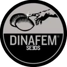 DINAFEM SEEDS