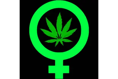 SEMI FEMMINIZZATI