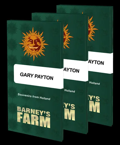 GARY PAYTON STRAIN BARNEY'S FARM FEM