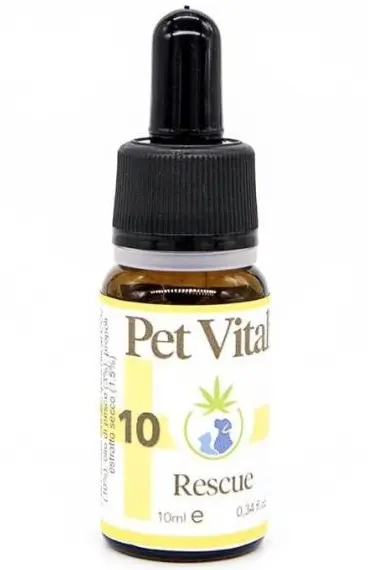 OLIO CON CBD AL 10% PER ANIMALE DOMESTICO AL FEGATO DI MERLUZZO Flacone da 10ml PET VITALITY