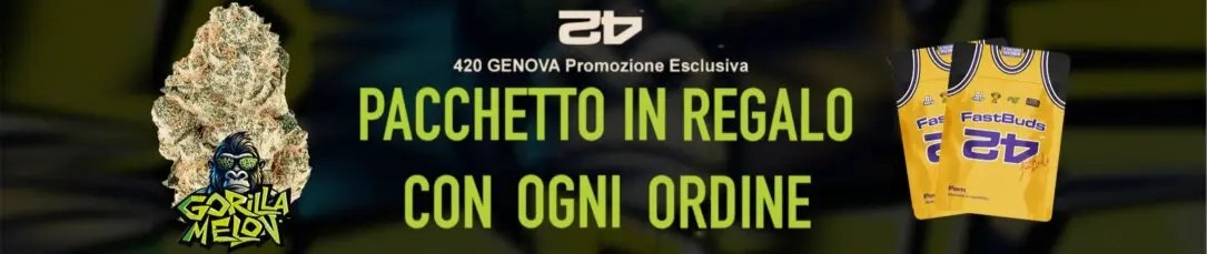 Promo Fast Buds