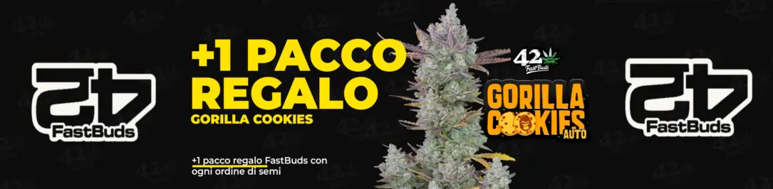 Promo Fast Buds