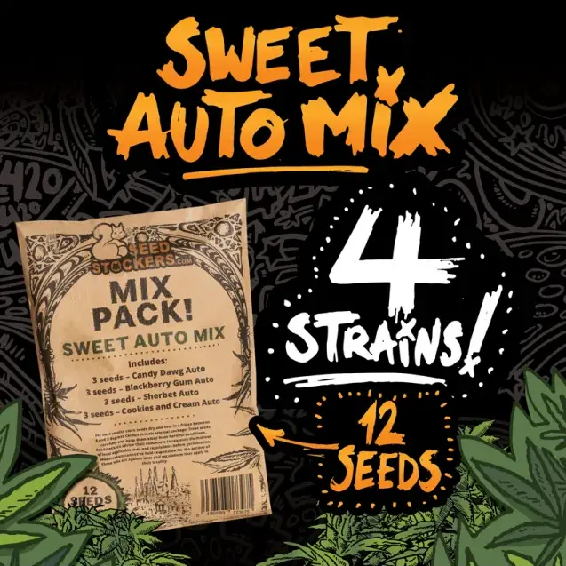 SWEET AUTO MIX SEEDSTOCKERS