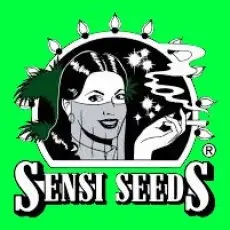 SENSI SEEDS