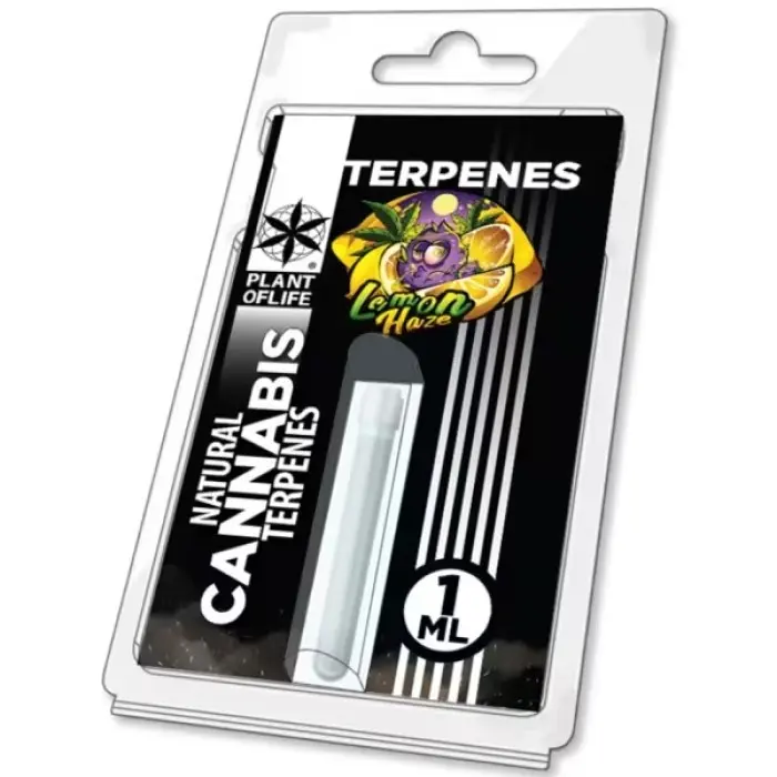 TERPENI LEMON HAZE 1ml PLANT OF LIFE