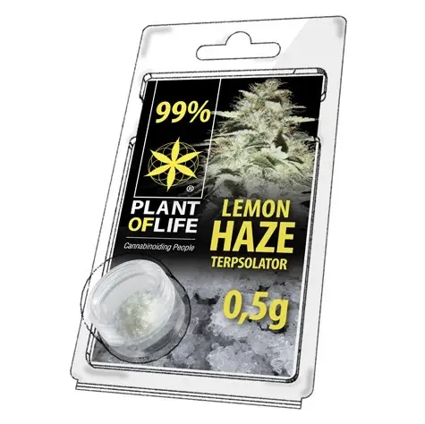 TERPSOLATOR 99% LEMON HAZE 500mg PLANT OF LIFE