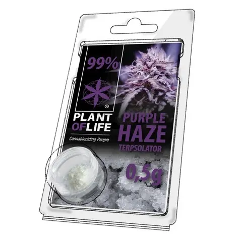 TERPSOLATOR 99% PURPLE HAZE 500mg PLANT OF LIFE