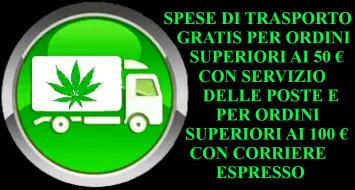 Condizioni Spese di Trasporto Gratis