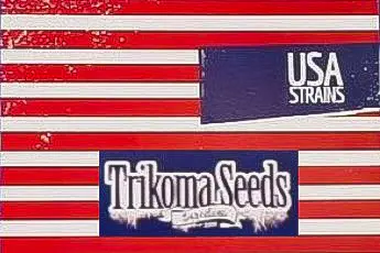 TRIKOMA SEEDS USA STRAINS