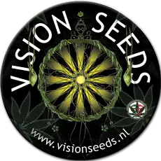 VISION SEEDS