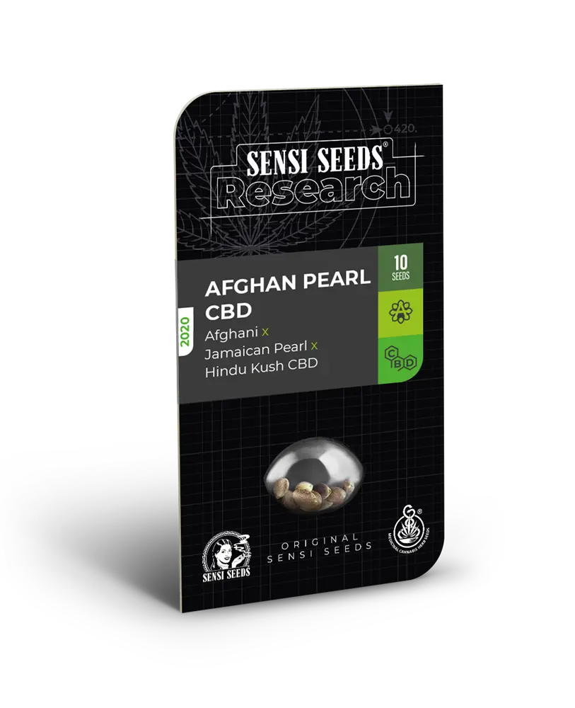 AFGHAN PEARL CBD AUTOFIORENTI SENSI SEEDS RESEARCH