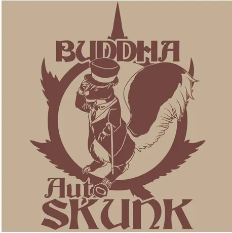 AUTO SKUNK BUDDHA SEEDS