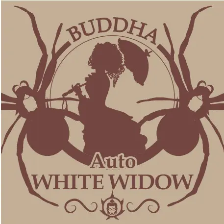 AUTO WHITE WIDOW BUDDHA SEEDS