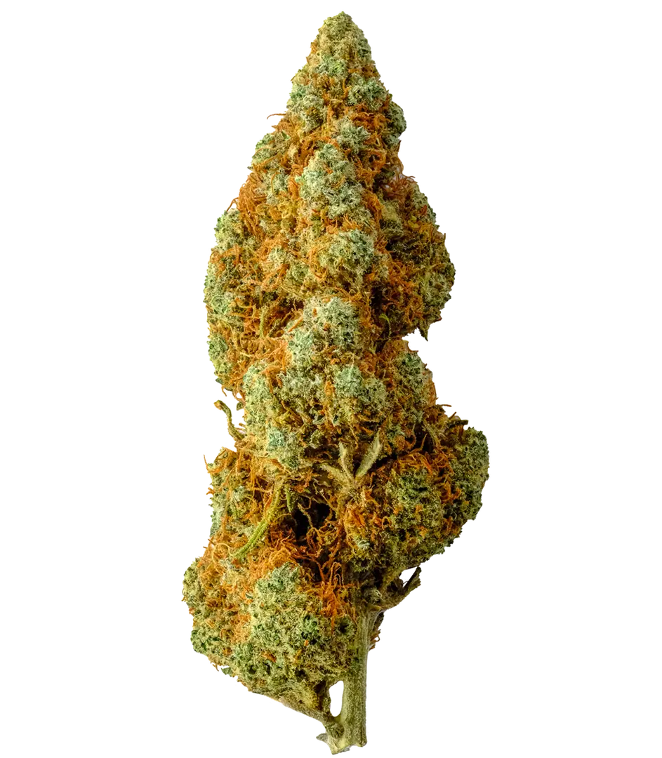 GORILLA MANDARINE  2g