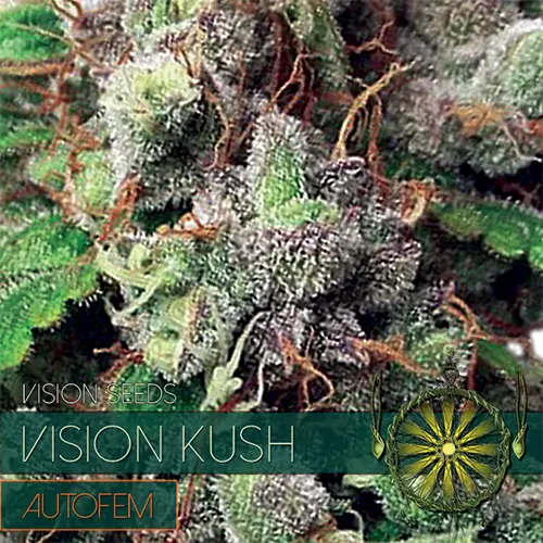 VISION KUSH - AUTOFEM - VISION SEEDS