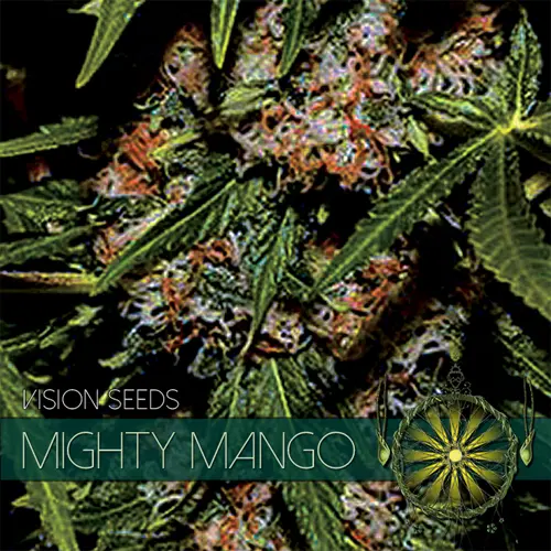 MIGHTY MANGO BUD - VISION SEEDS FEM