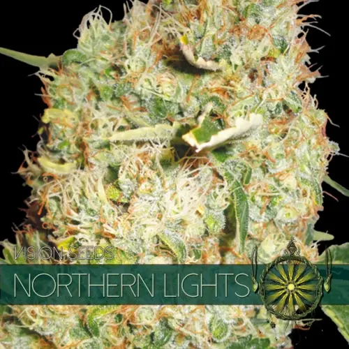 NORTHERN LIGHTS - VISION SEEDS FEM