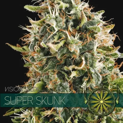 SUPER SKUNK - VISION SEEDS FEM